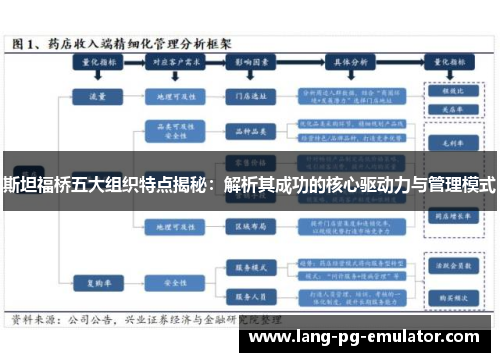 斯坦福桥五大组织特点揭秘：解析其成功的核心驱动力与管理模式