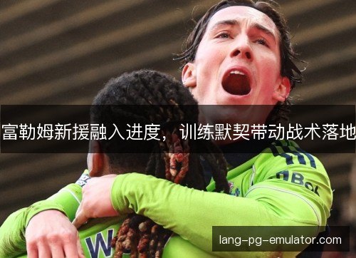 富勒姆新援融入进度，训练默契带动战术落地